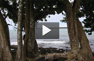 Vidéo Terrain à vendre Costa Rica
